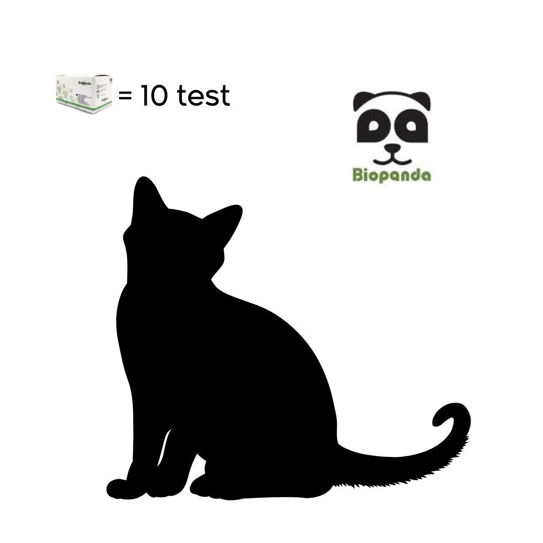 CORONAVIRUS FELINO 	(FCoV Ag)